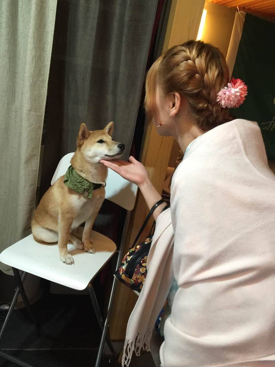 京都花见有和服 - 日本