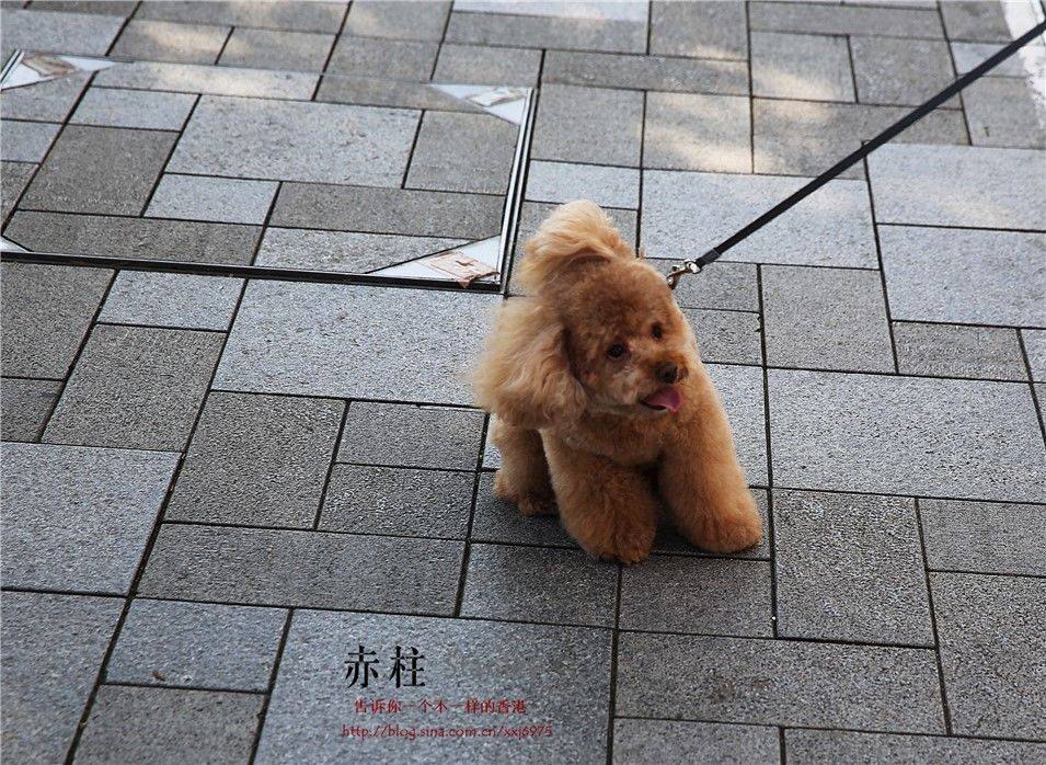 【香港】赤柱，岁月静好