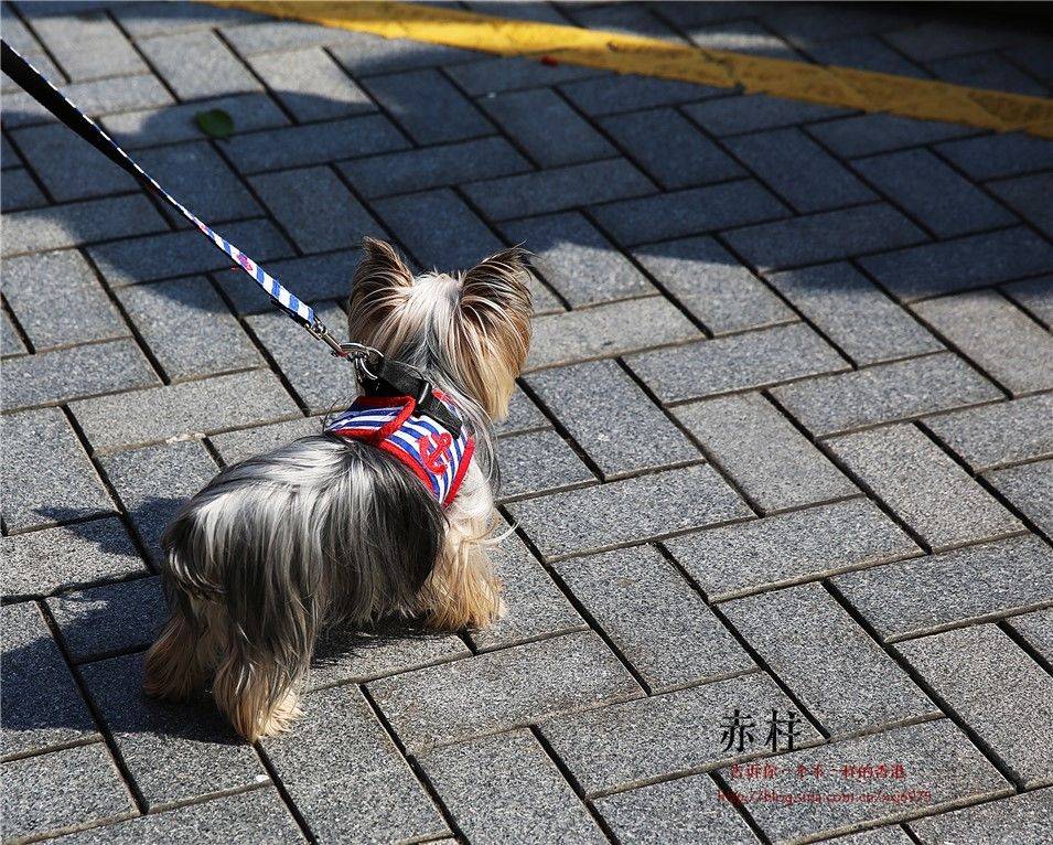 【香港】赤柱，岁月静好