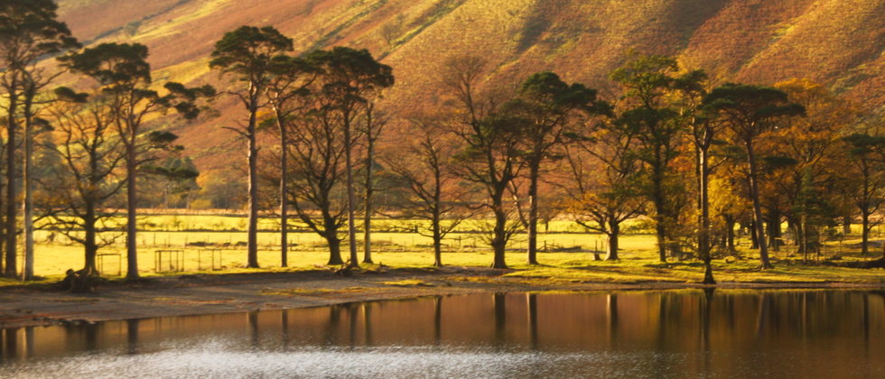 英国旅游计划书