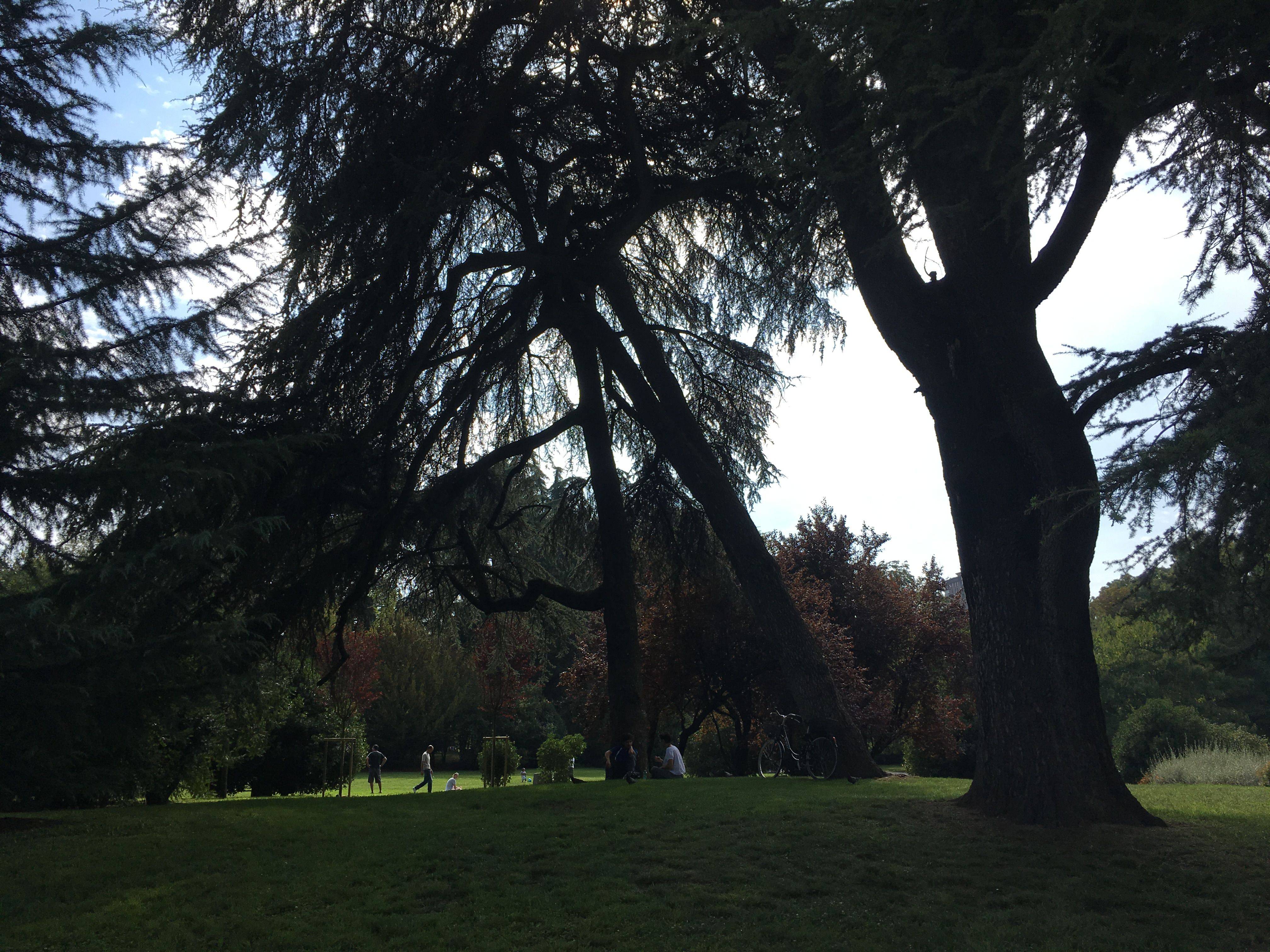 给18岁自己的礼物--我超随性的意大利之旅