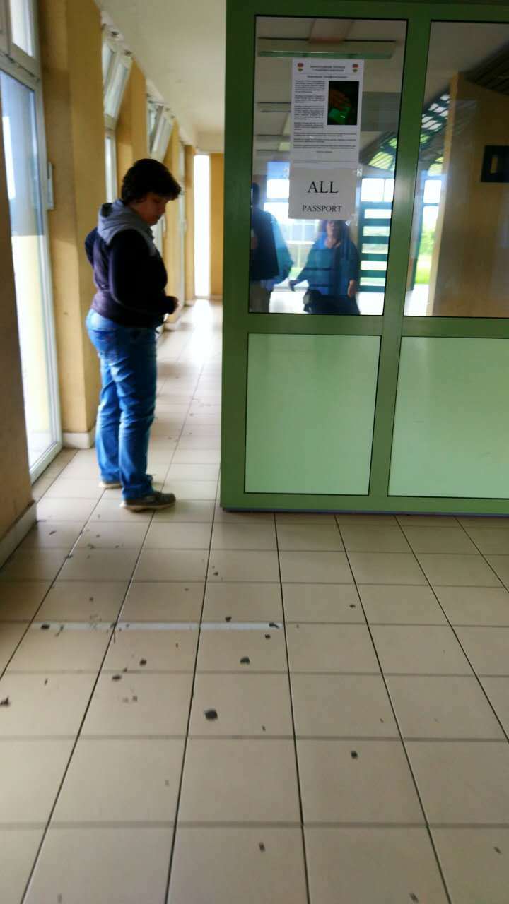 关于申根(匈牙利)陆路往返塞尔维亚的干货 - 东