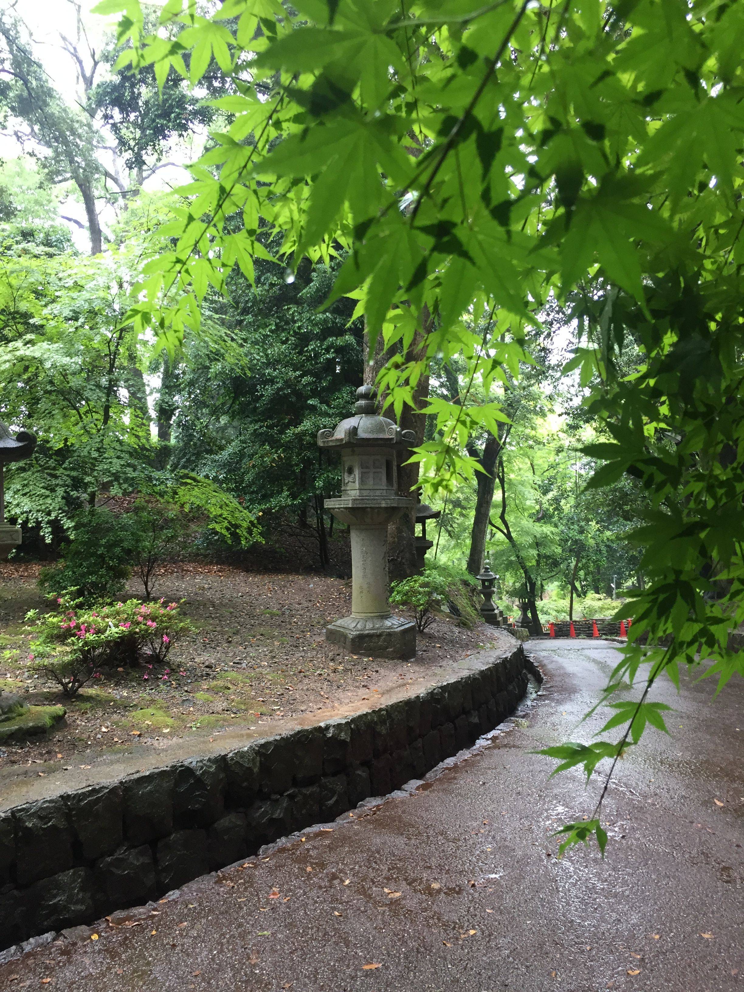 穷游网论坛日本专版:六月雨季游日本(附迪士尼