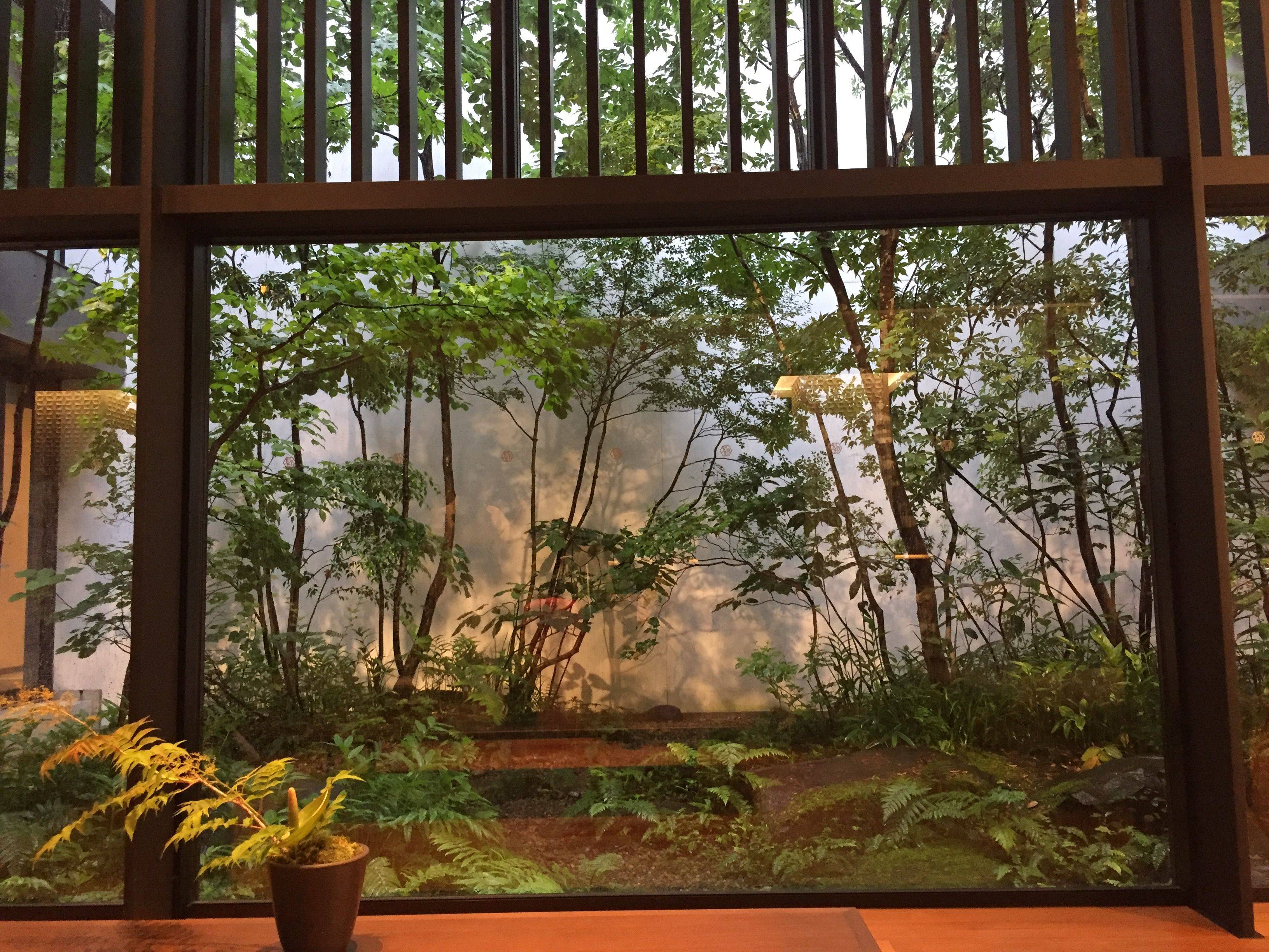 穷游网论坛日本专版:六月雨季游日本(附迪士尼