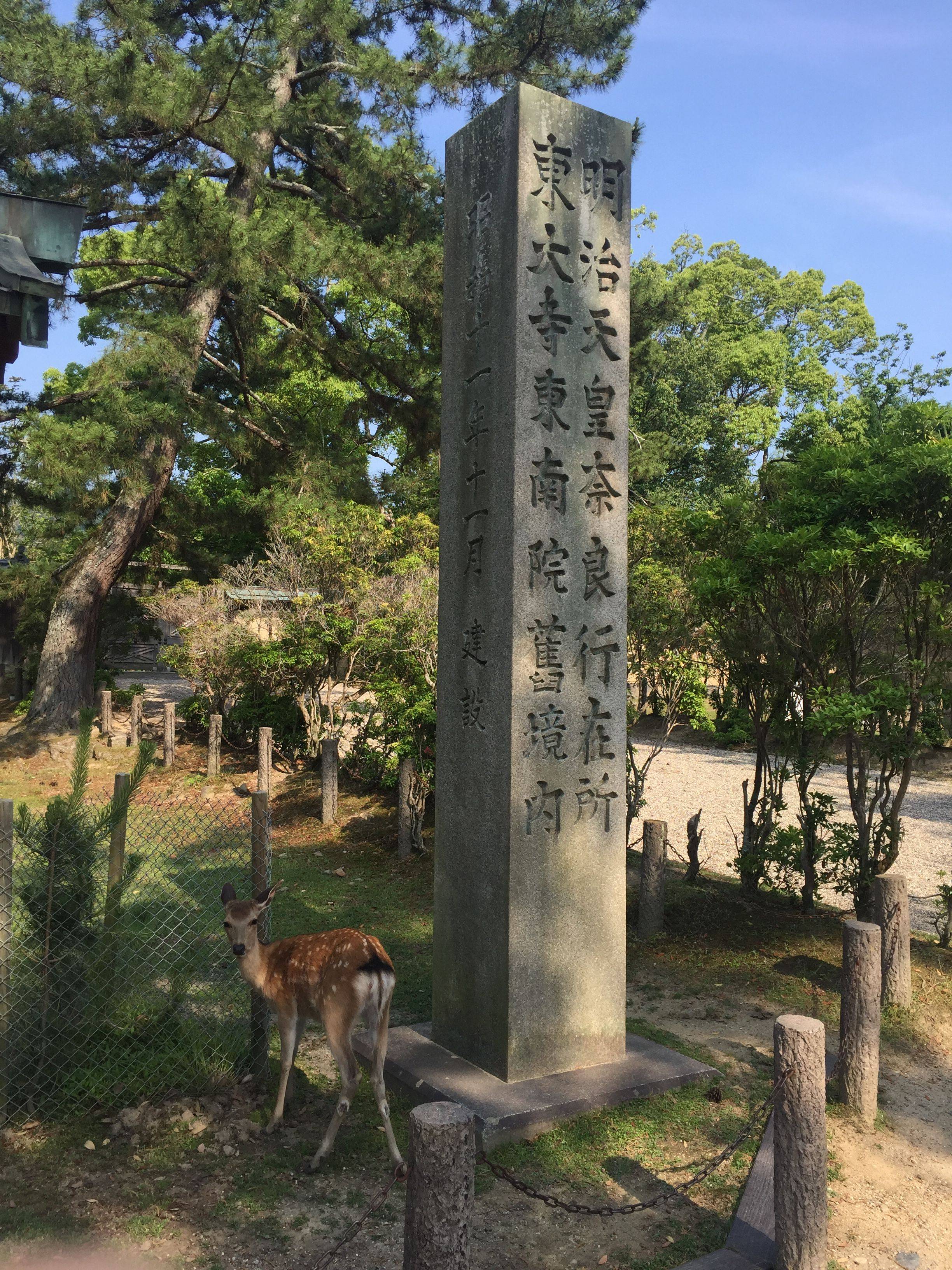 穷游网论坛日本专版:六月雨季游日本(附迪士尼