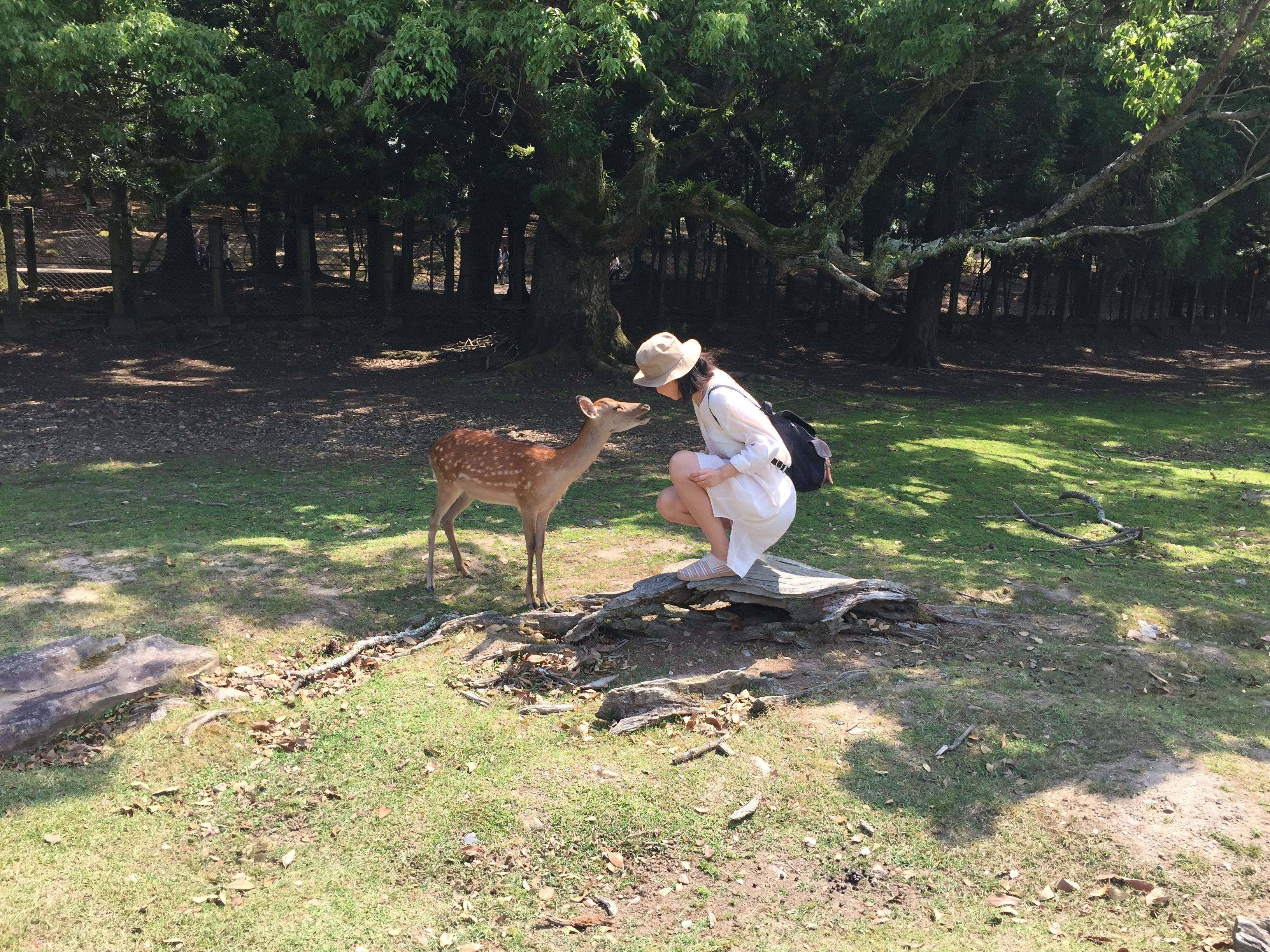 穷游网论坛日本专版:六月雨季游日本(附迪士尼