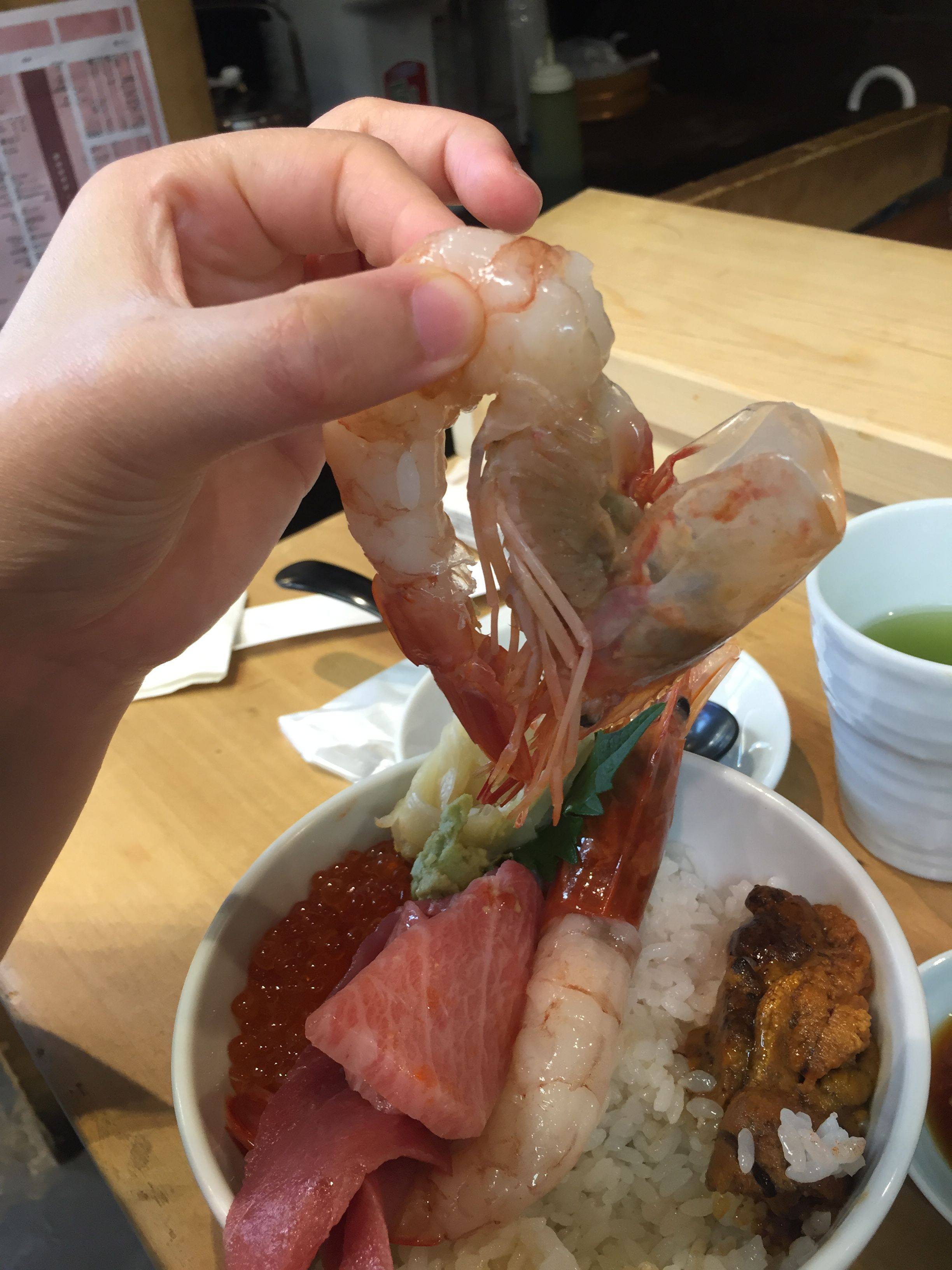 穷游网论坛日本专版:六月雨季游日本(附迪士尼