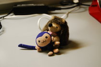 [提问]荷兰多次往返申根签入其它欧盟国 - 签证