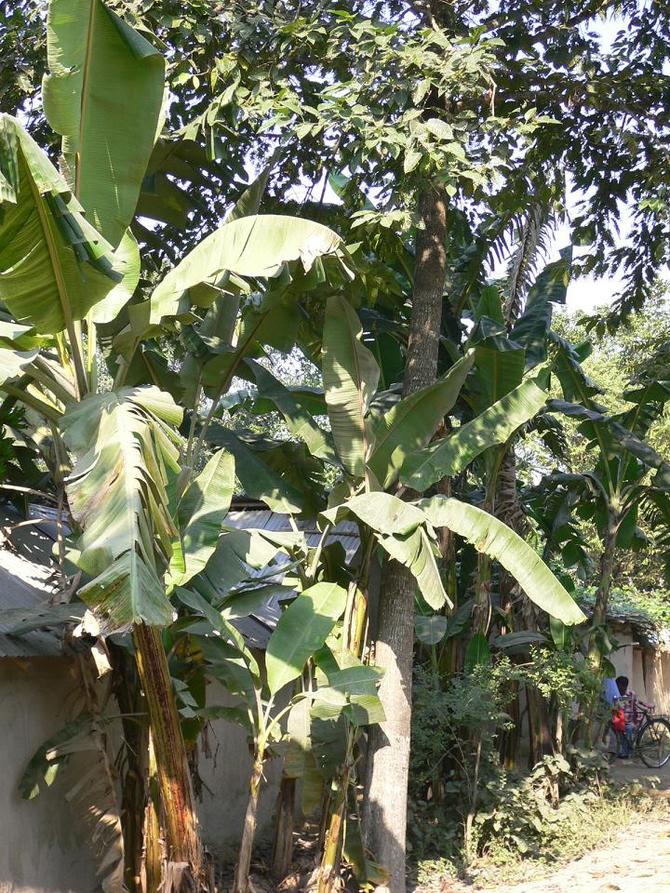 木兰围场 - 坝上行摄攻略