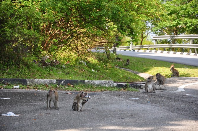 木兰围场 - 坝上行摄攻略