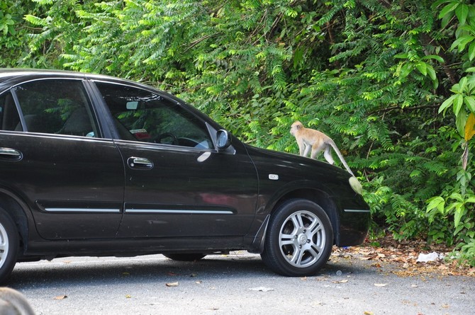 木兰围场 - 坝上行摄攻略