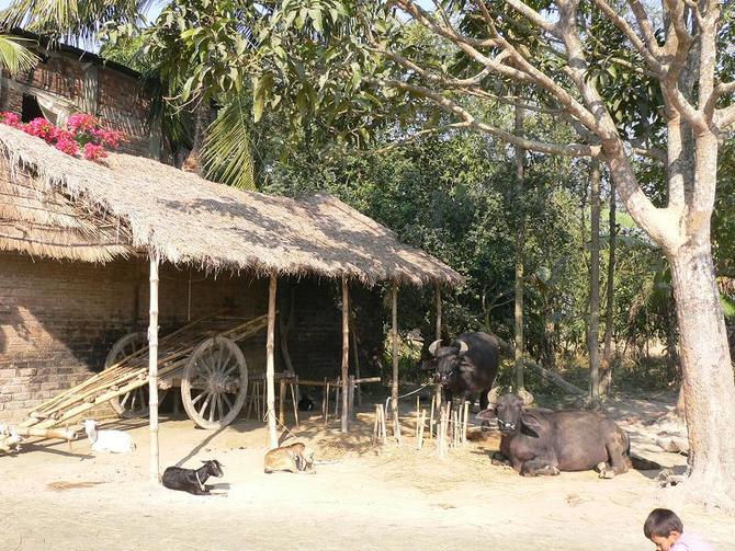 木兰围场 - 坝上行摄攻略