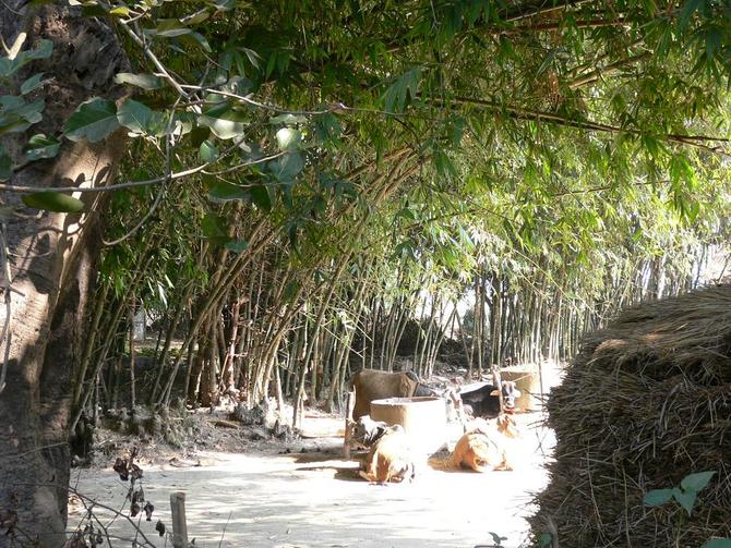 木兰围场 - 坝上行摄攻略