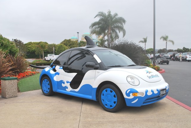 墨西哥陆路潜入SAN DIEGO - 美国