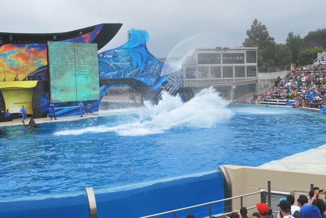 墨西哥陆路潜入SAN DIEGO - 美国