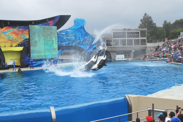 墨西哥陆路潜入SAN DIEGO - 美国