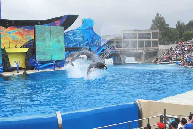 墨西哥陆路潜入SAN DIEGO - 美国 - 论坛 - 穷游