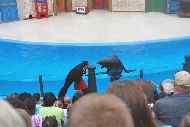 墨西哥陆路潜入SAN DIEGO - 美国