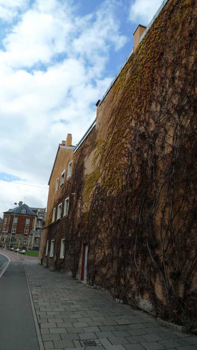 少少和小鱼捷克瑞士德国奥地利10日自驾游攻