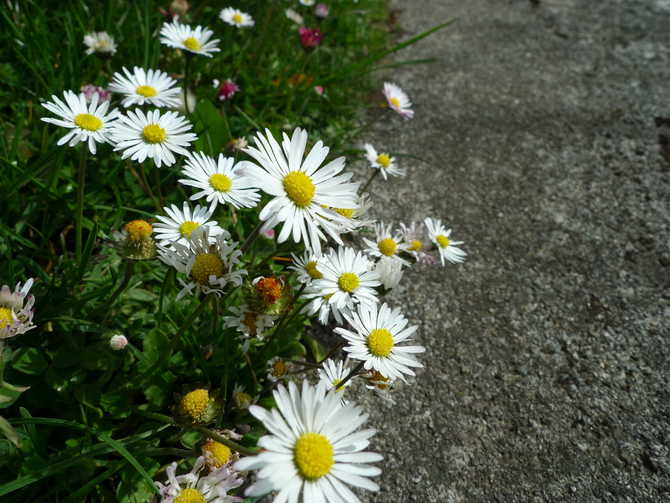 少少和小鱼捷克瑞士德国奥地利10日自驾游攻