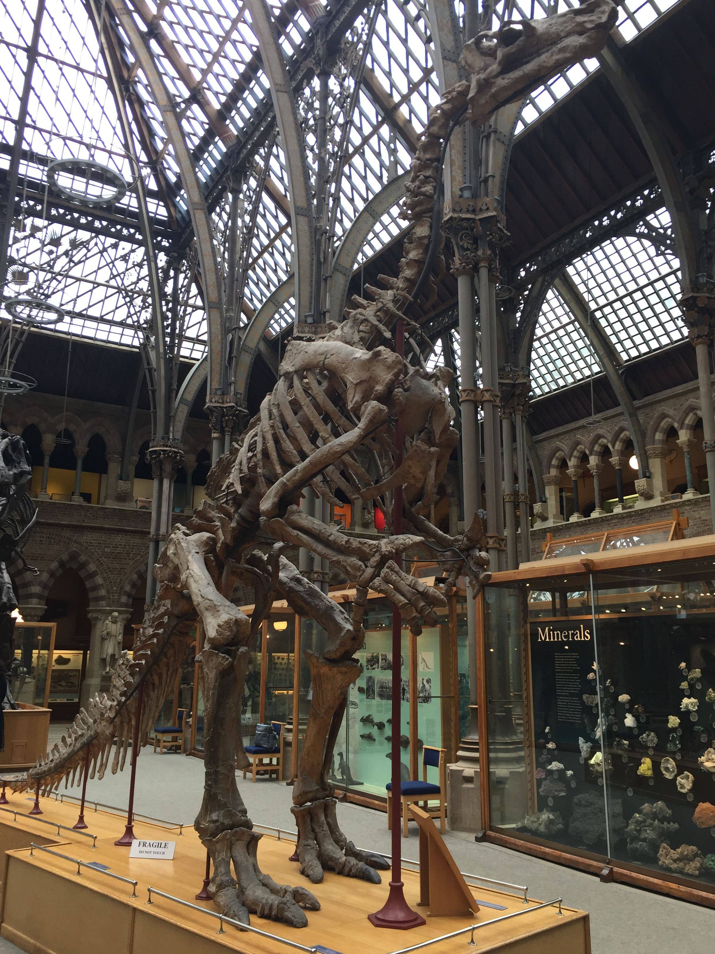 【一个人旅行系列】英格兰湖区、约克郡、伦敦