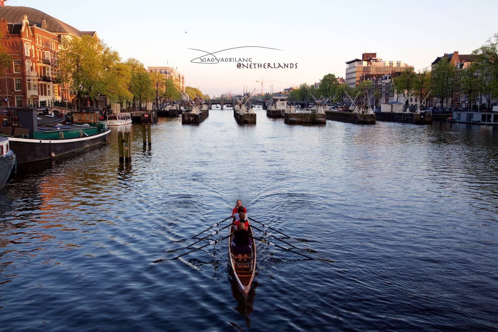 郁金香盛开的艺术国度(完结)