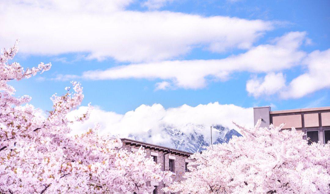 95后澳洲留学生,欧洲跨年行结伴(荷兰跨年音乐