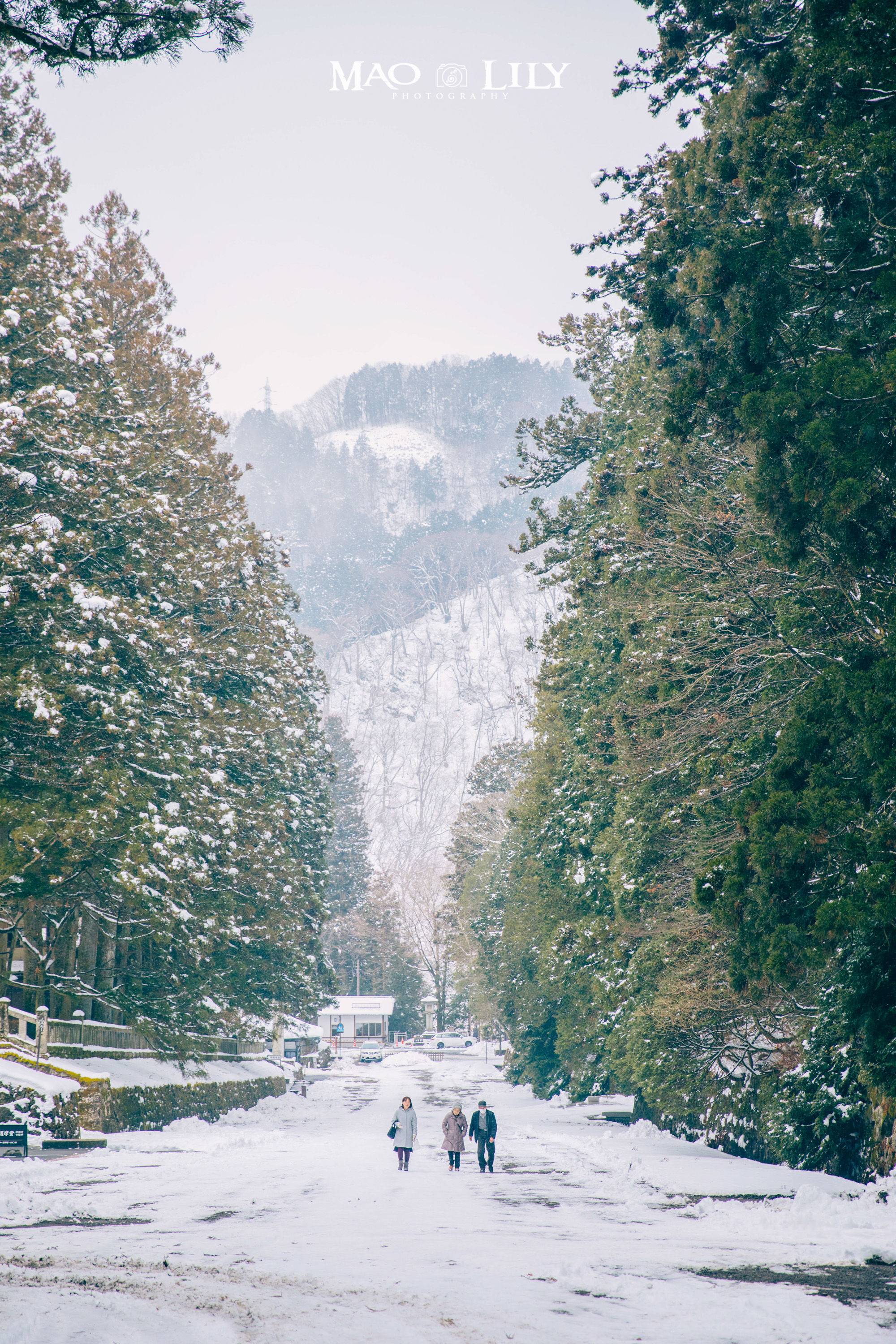 东京周边去哪玩?日光、秩父、成田铁路之旅(更