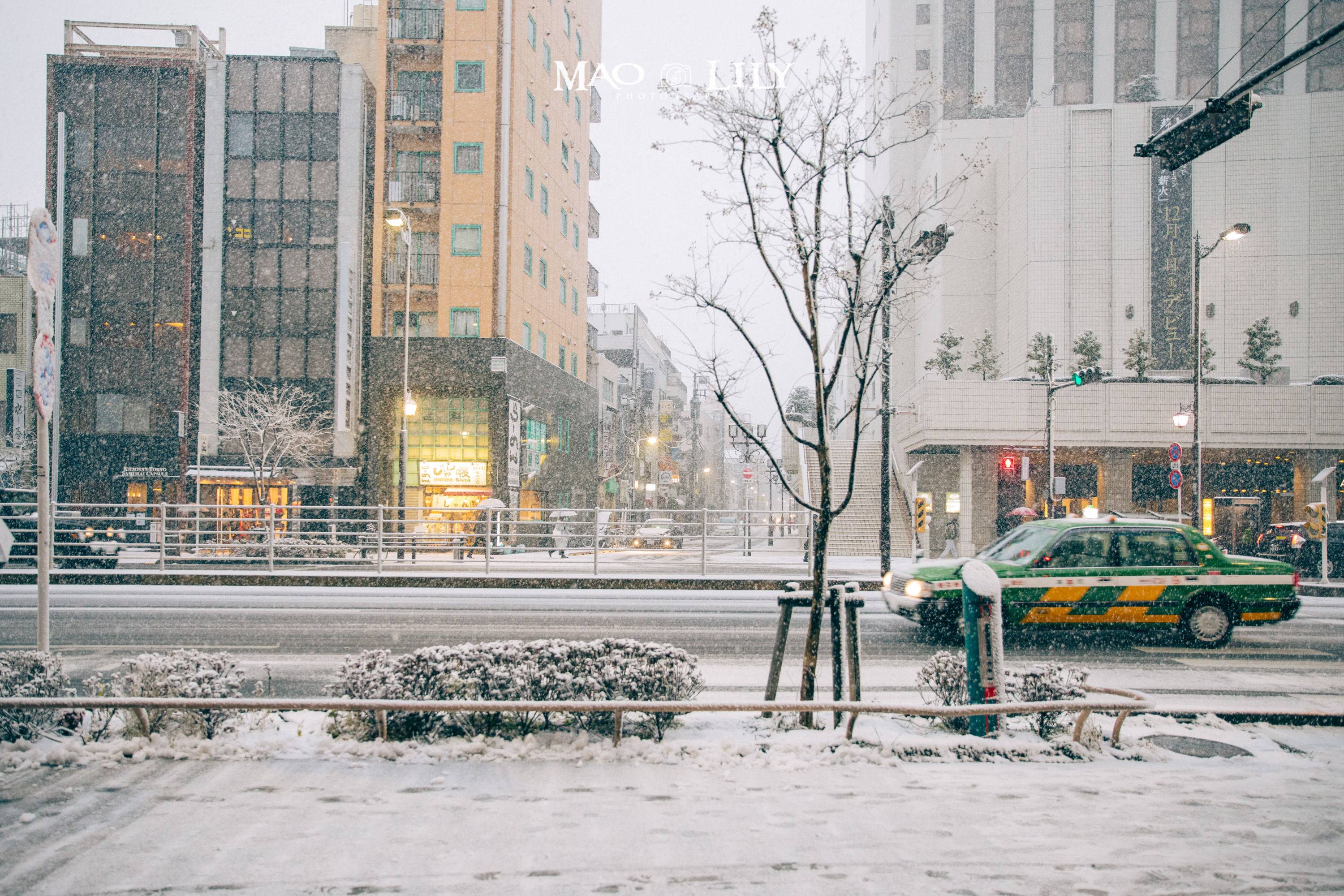 东京周边去哪玩?日光、秩父、成田铁路之旅