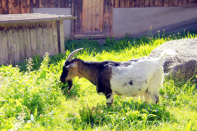 interlaken高性价比住宿推荐及少女峰团票详解