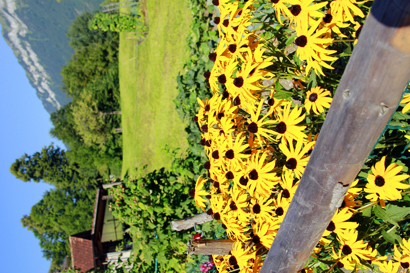 interlaken高性价比住宿推荐及少女峰团票详解