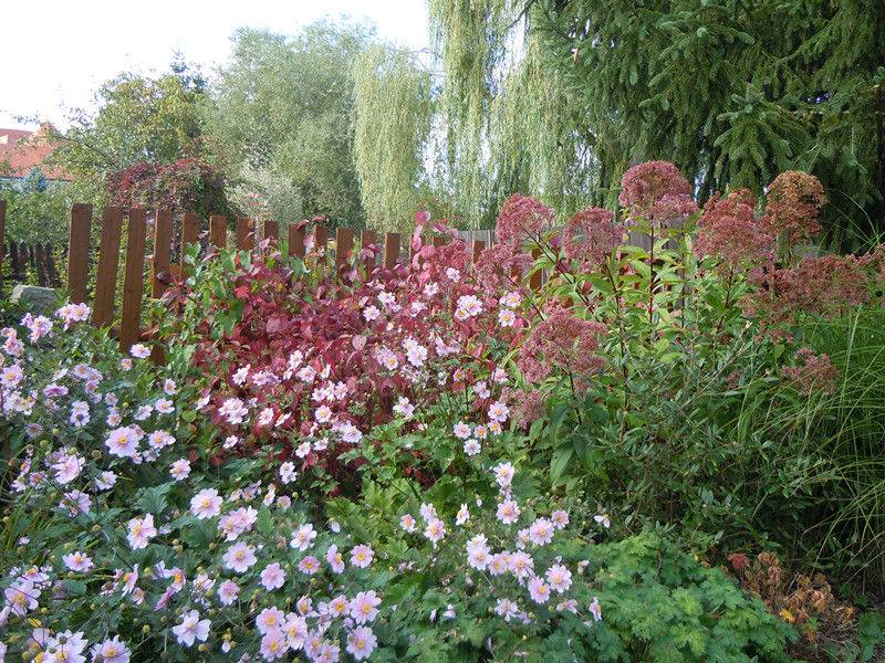 探访秋色里的捷奥匈(更新完毕) - 环游欧洲