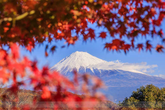 北纬35 静冈富士山感受日本活力之旅 滨松 清水 修善寺 东海道深度行