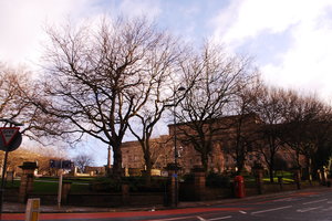 荷兰旅游攻略_荷兰自由行旅游攻略_[穷游网]荷