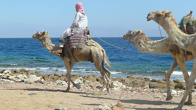 4个<em>女生</em>埃及<em>迪拜</em>13天 含一些冷门实用tips 整理