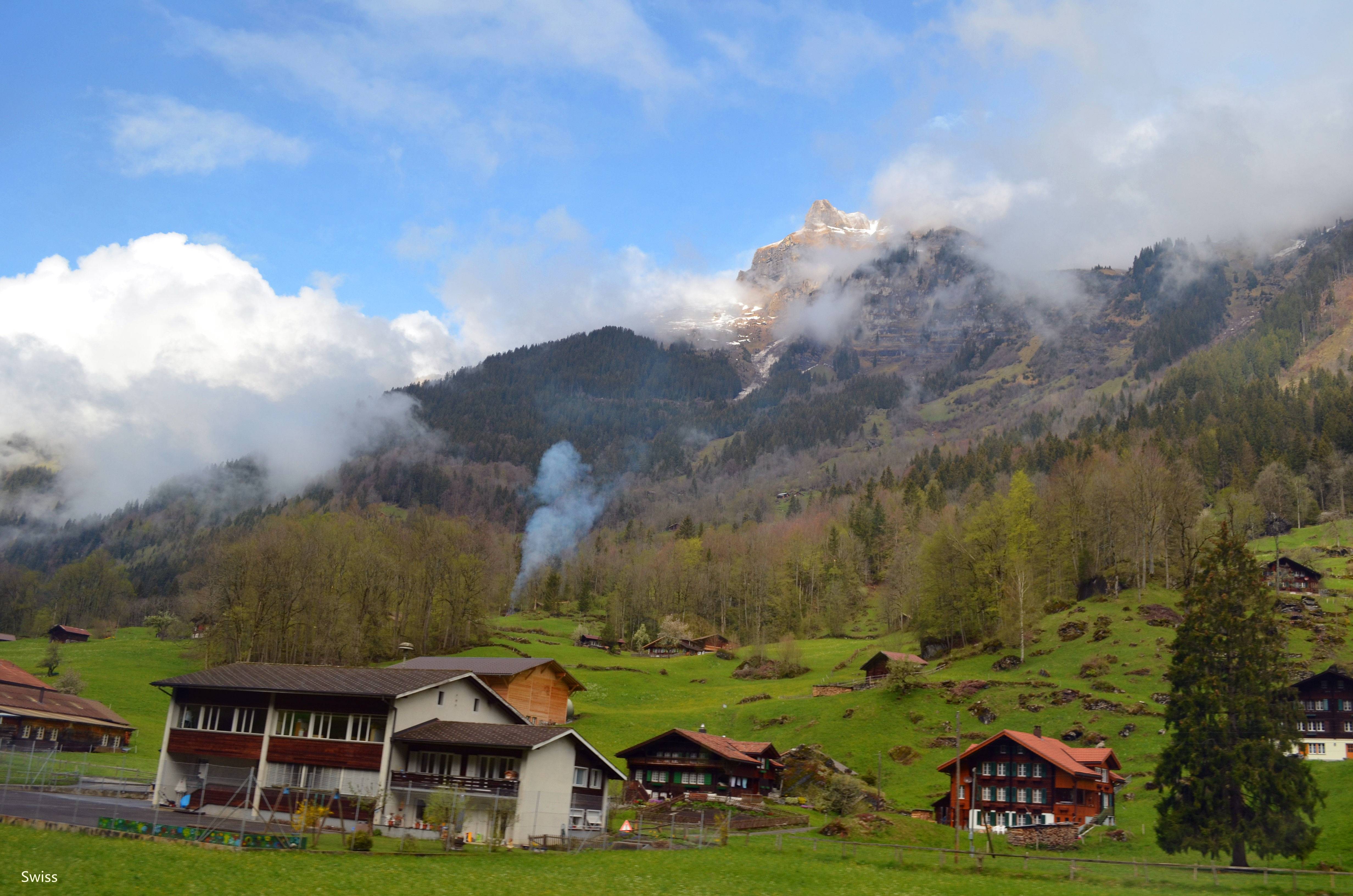 意大利、梵蒂冈、奥地利、瑞士、法国等西南欧