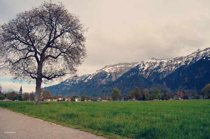 意大利、梵蒂冈、奥地利、瑞士、法国等西南欧