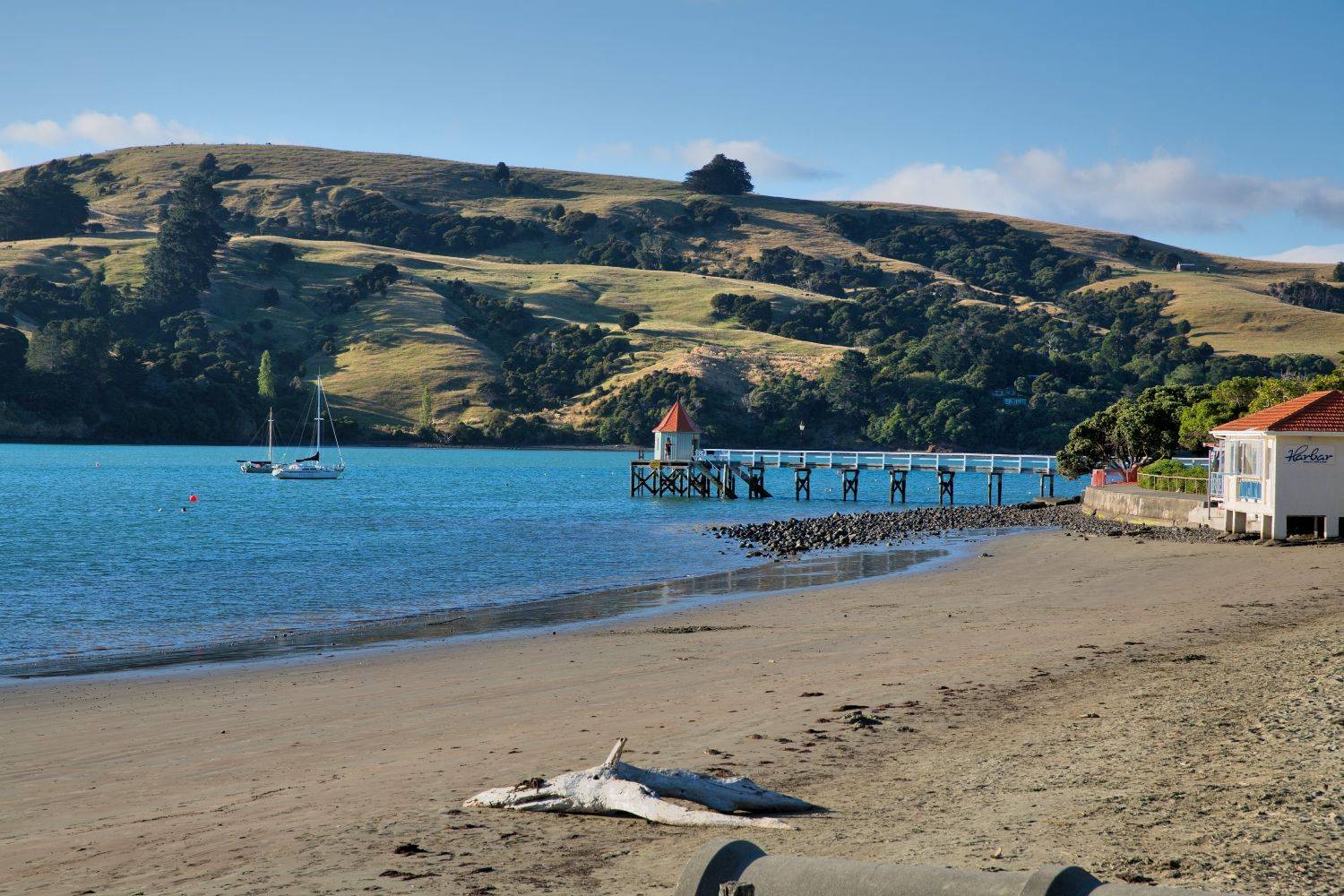 《边走边爱》~两个超级蹩脚英语也可以完美收