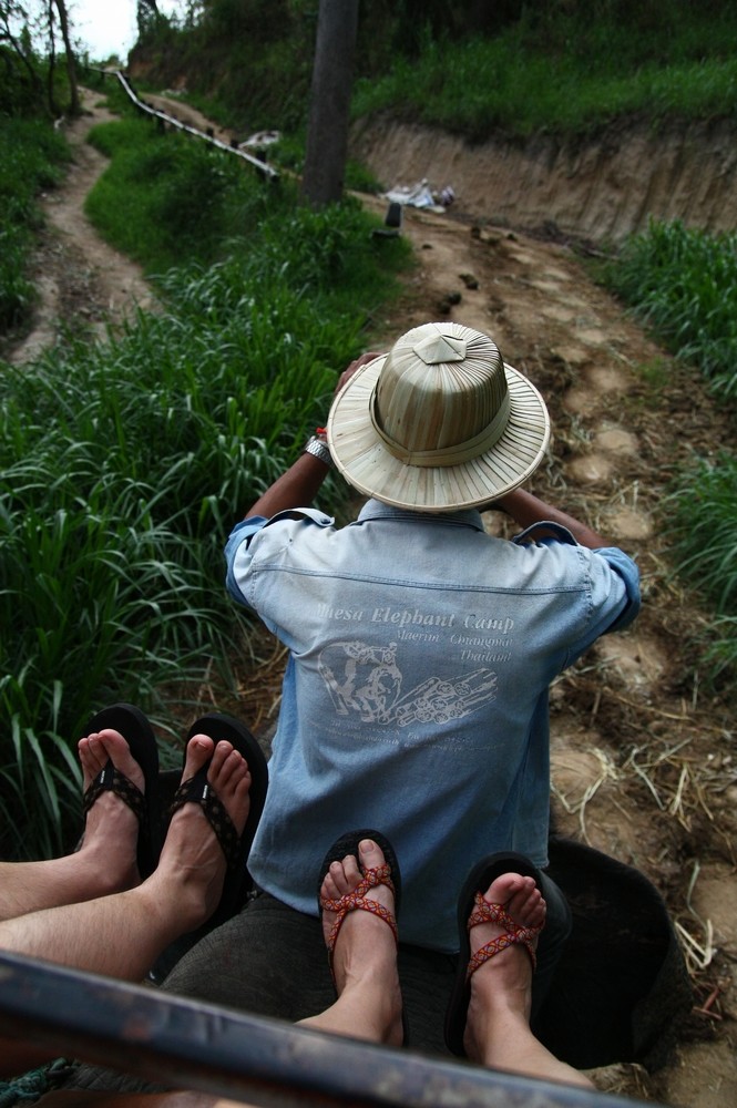 小城故事之泰国十日(Pai租摩托车的特别提醒)