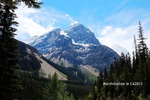 不列颠哥伦比亚省旅游攻略_不列颠哥伦比亚省