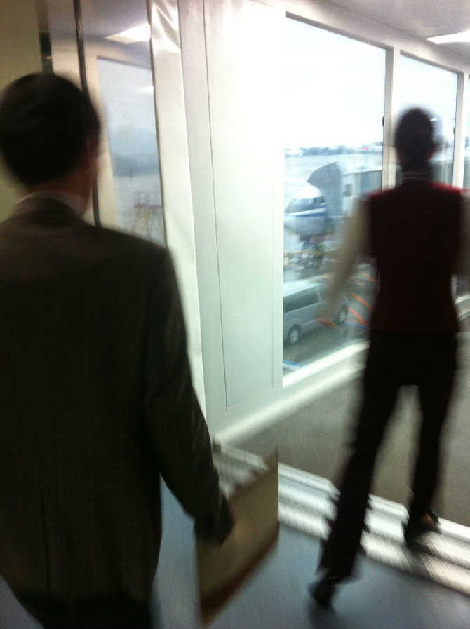 #刘总陪你聊签证# 中国护照免签落地签详细版