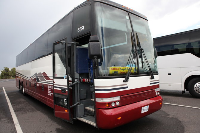 珍惜生命,远离海鸥假期旅行社! - 美国