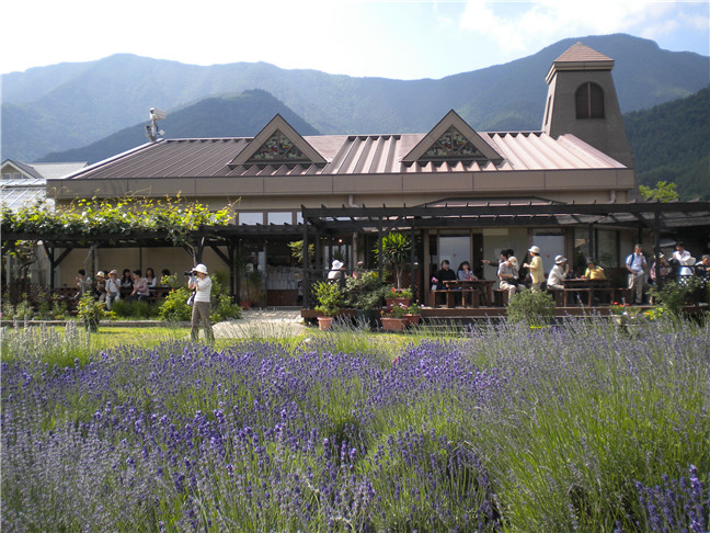 【日本春夏间】女生行走日本全攻略:1都1道2府