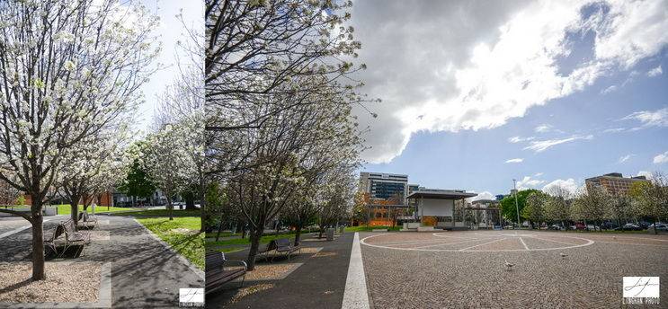 墨尔本,用一幅画的时间去感受】5. 小意大利,墨