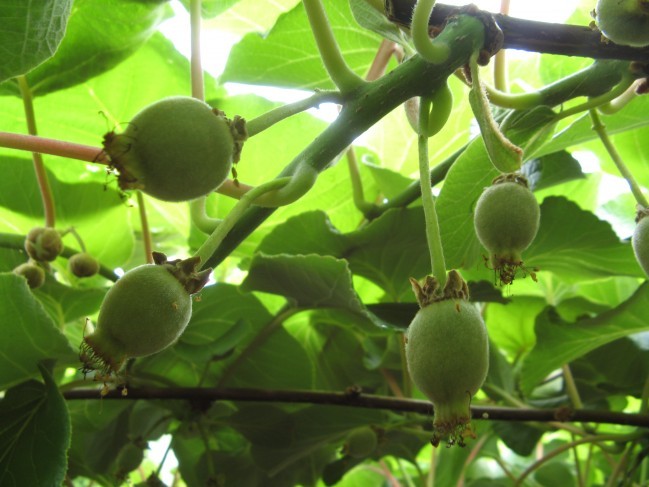 银蕨麦克的首页 - 穷游网,旅途永无穷尽