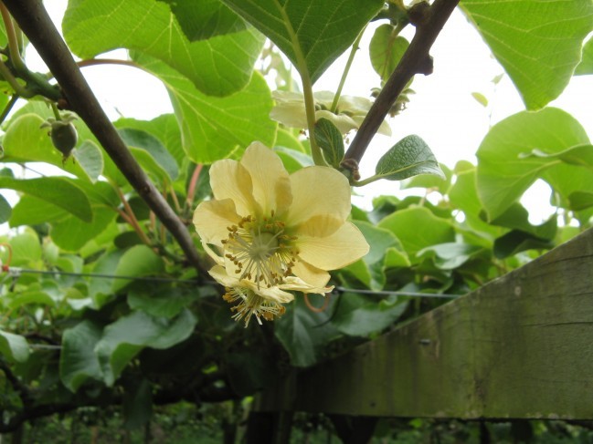 银蕨麦克的首页 - 穷游网,旅途永无穷尽