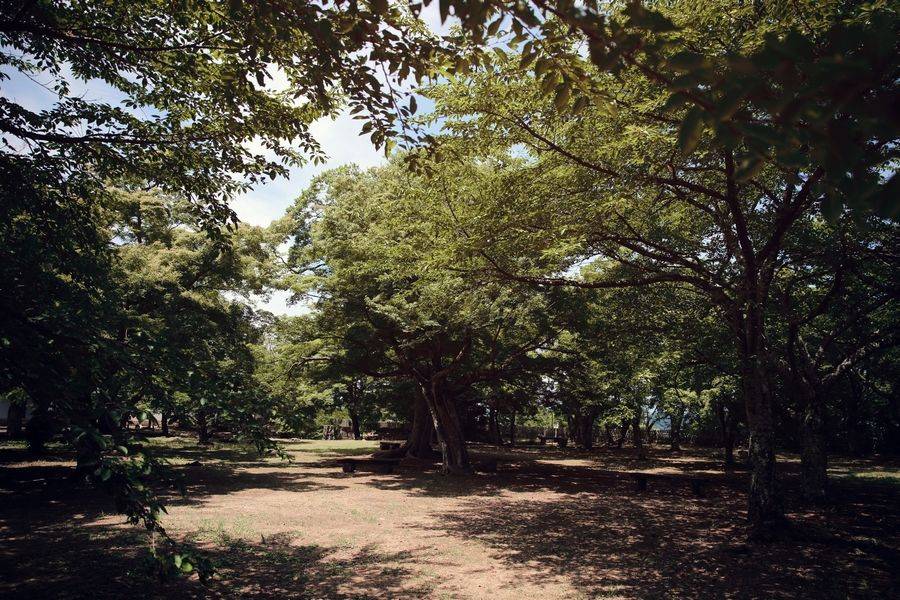 【米花糖小姐关西出阵】平成二十五年夏,日本