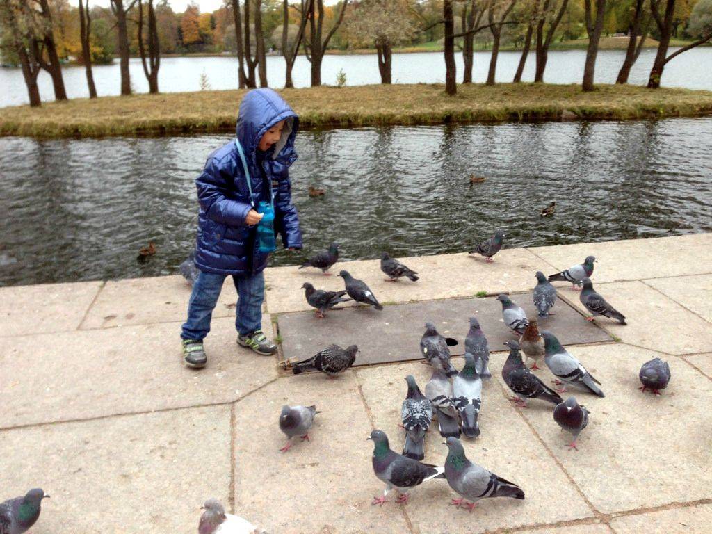 如何搞定语言不通的自助游 - 俄罗斯\/乌克兰\/白