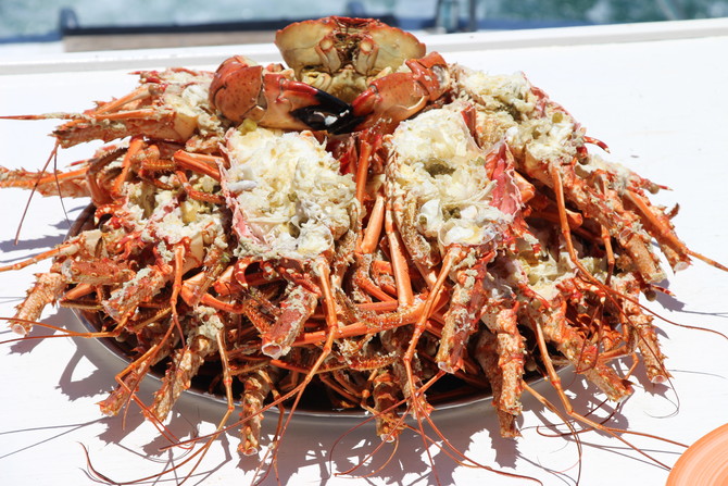 再回古巴 - 拉丁美洲\/南极 - 论坛 - 穷游网移动版