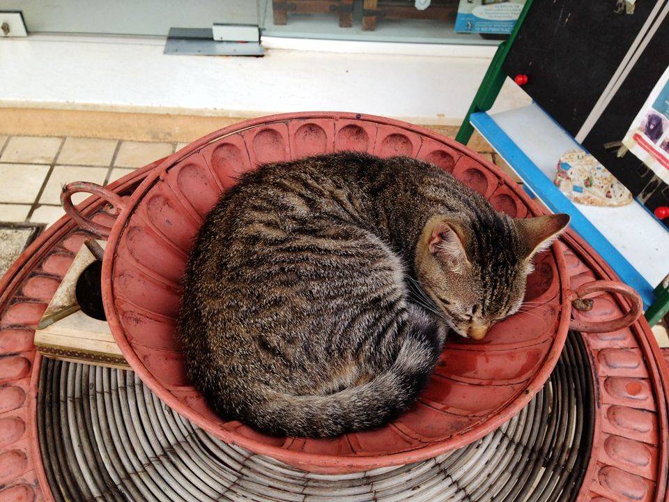 蒂娜兔&凯乐文蜜月:10月希腊\/土耳其16天(含